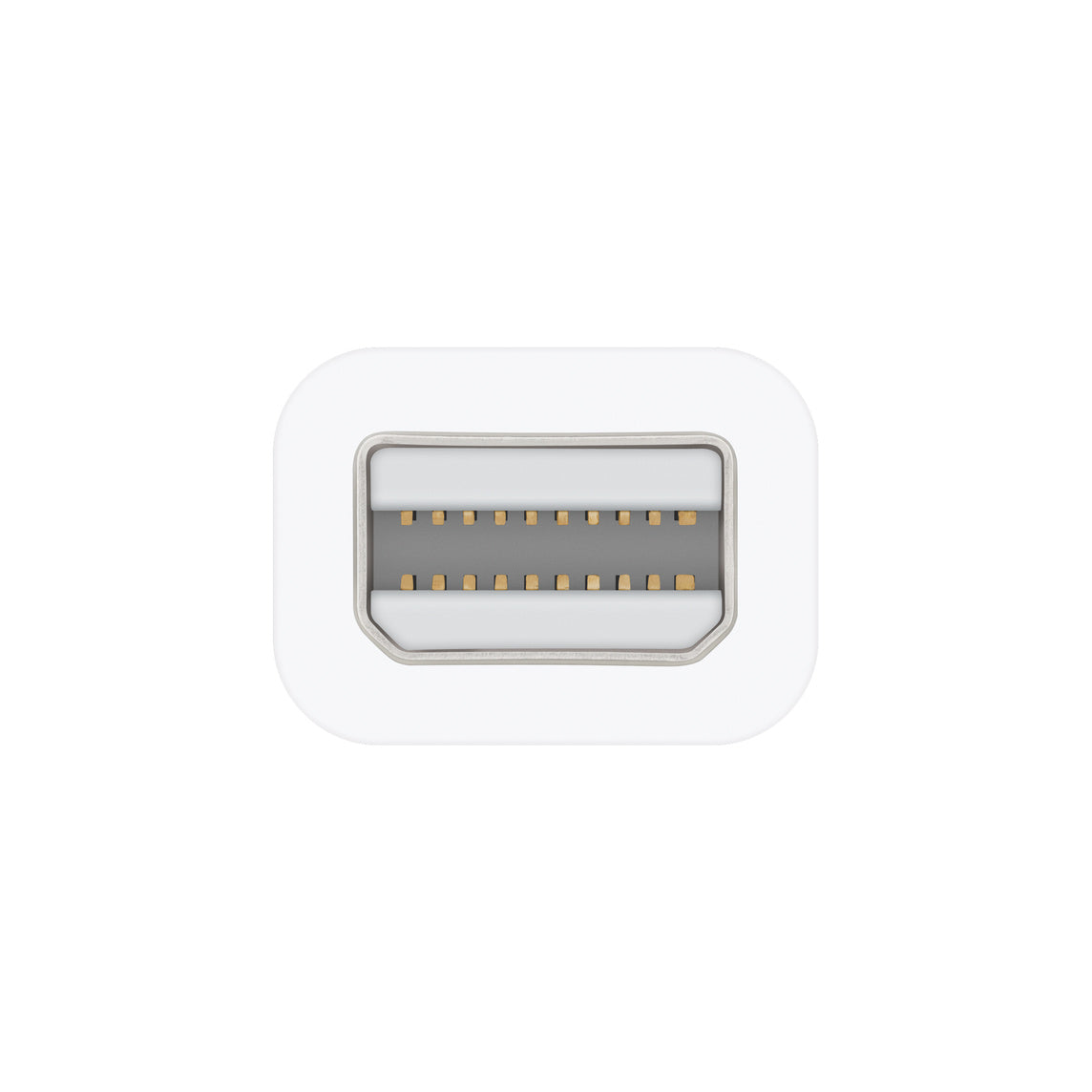 Apple Thunderbolt to FireWire Adapter