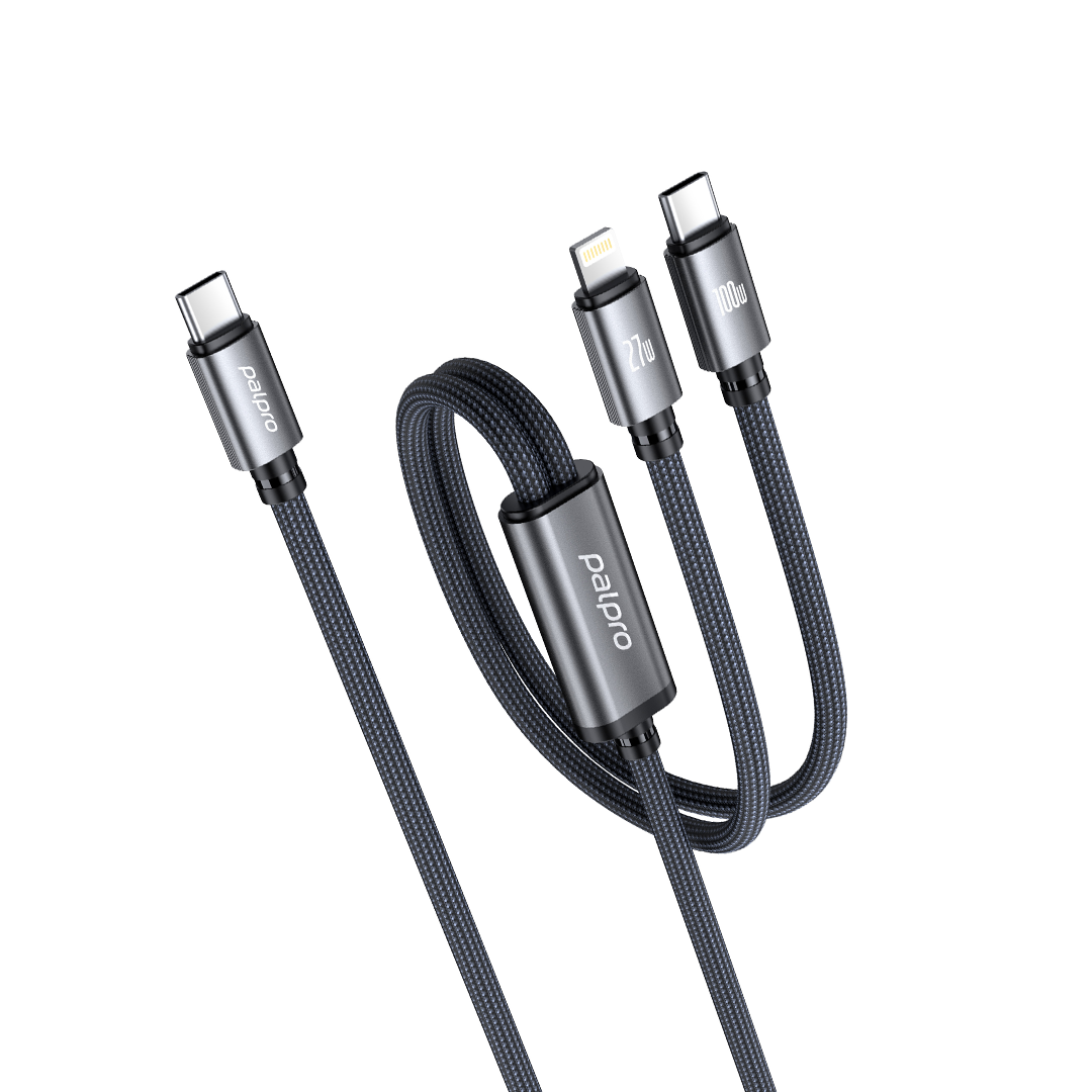 Palpro 2-in-1 USB-C Fast Charging Braided Cable (1.2m)